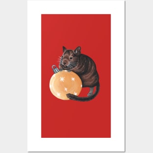 Christmas Degu Posters and Art